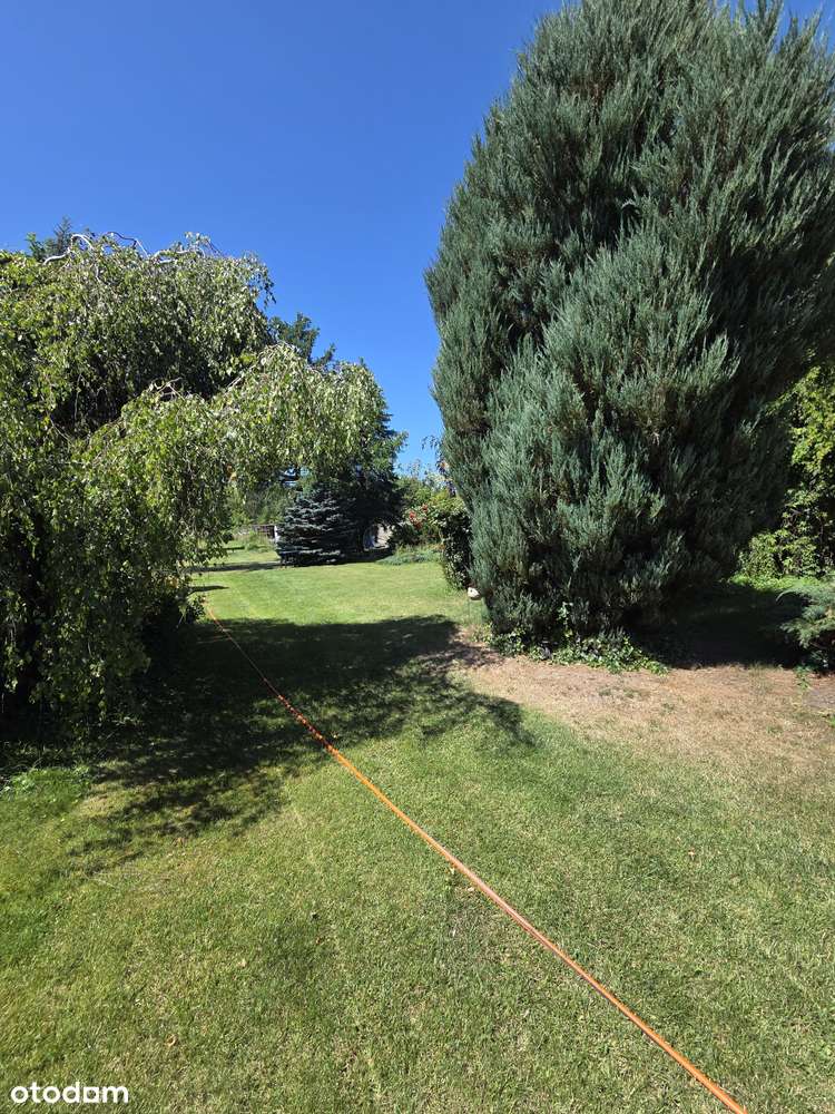 Trzcianka - dom z potencjałem, przestronny ogród-9