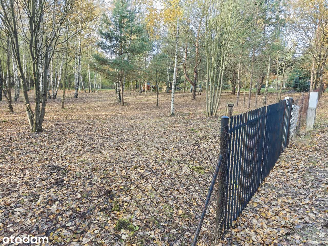 Działka w Starych Skoszewach pod Twój wymarzony DOM - Pełny obrazek: 4/10
