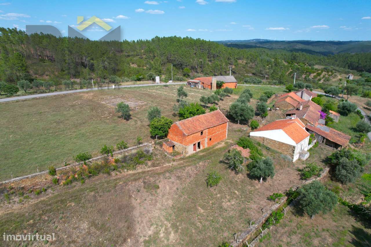 Quinta T3 Venda em Santo André das Tojeiras,Castelo Branco - Grande imagem: 2/37