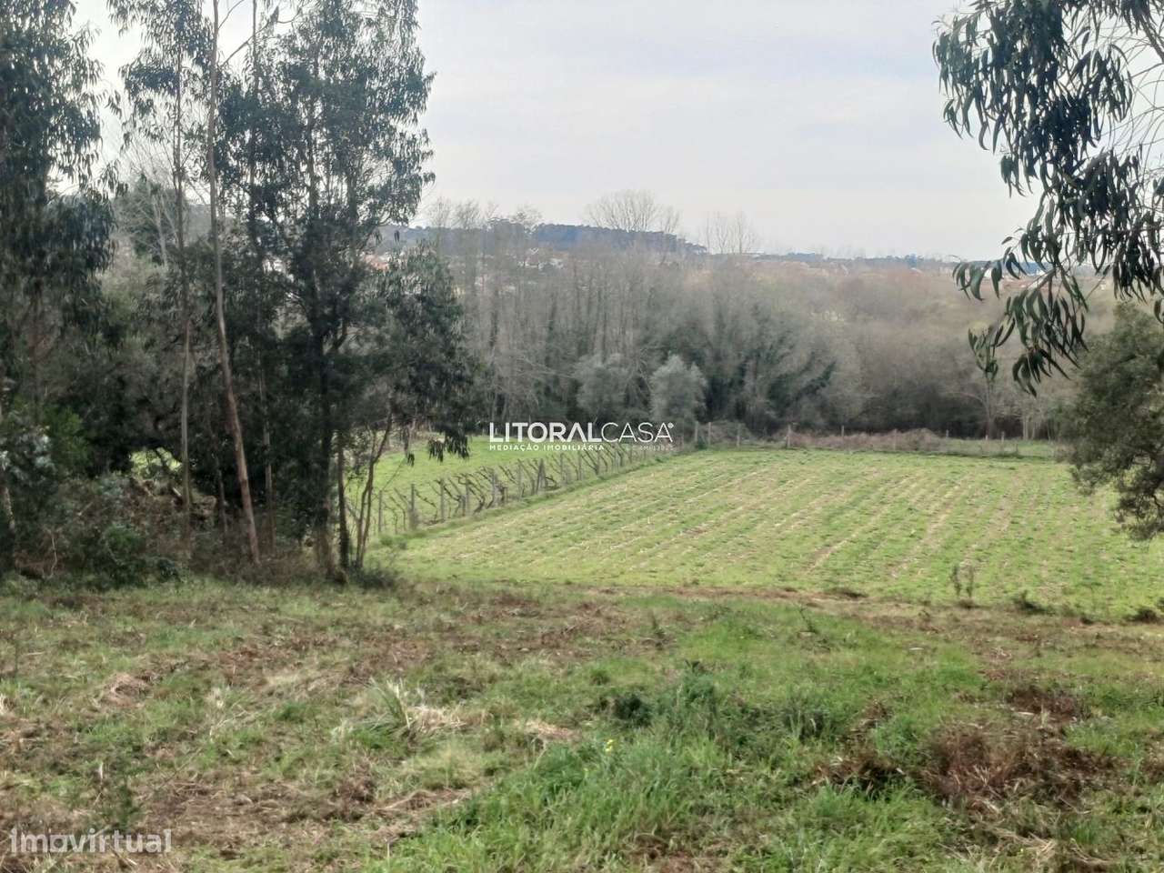 Terreno | Horta - Eixo - Grande imagem: 4/16