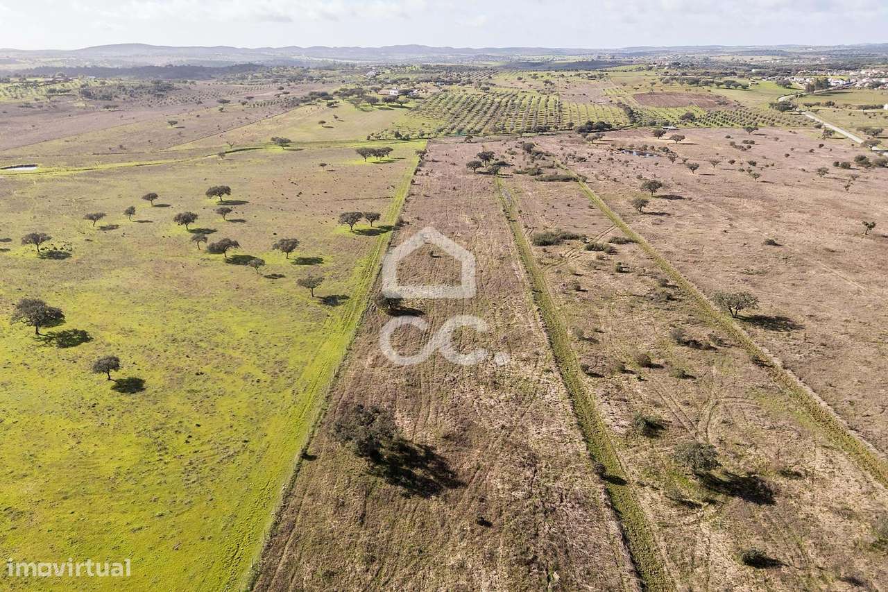 Terreno de 5,4 ha c/ Viabilidade de Construção | Capelins, Alandroal-33