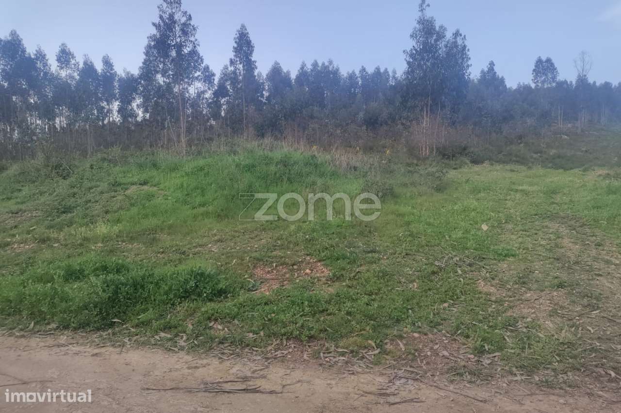 Terreno com 8000 m2 para construção - São Romão Coronado - Grande imagem: 4/9