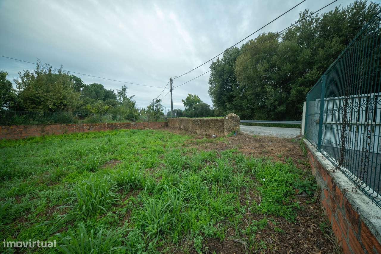 Terreno para venda - Murtosa-7