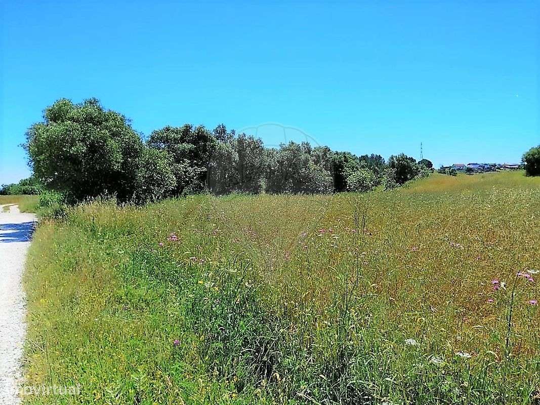 Terreno  para venda - Grande imagem: 4/15