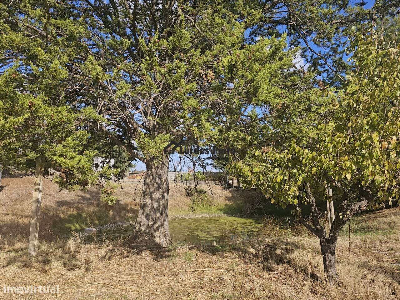 Quinta com moradia-16