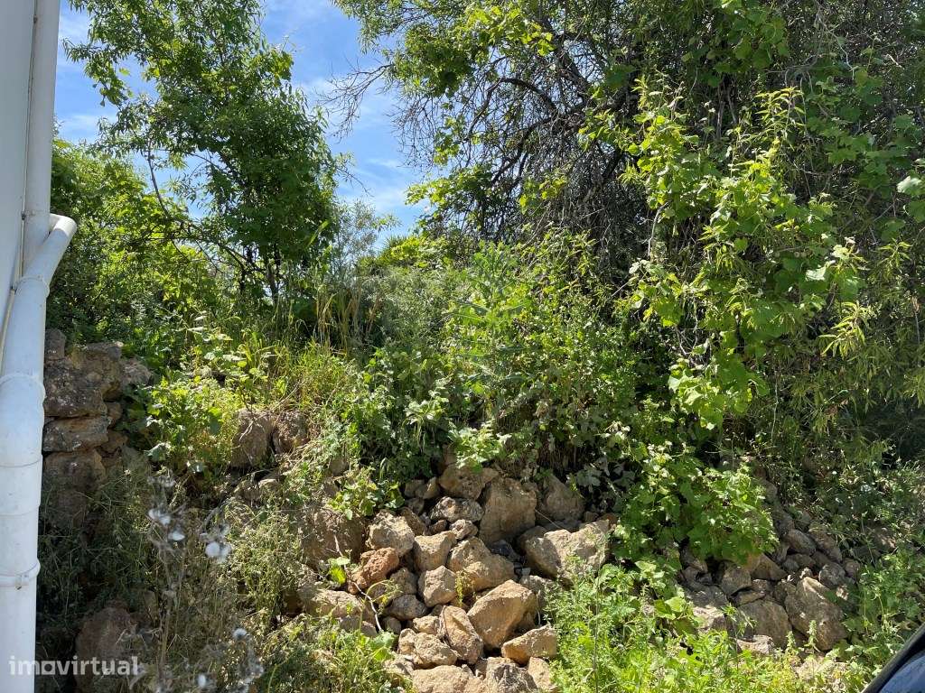 Lote de Terreno com Ruína em Boliqueime, Algarve - Grande imagem: 2/8