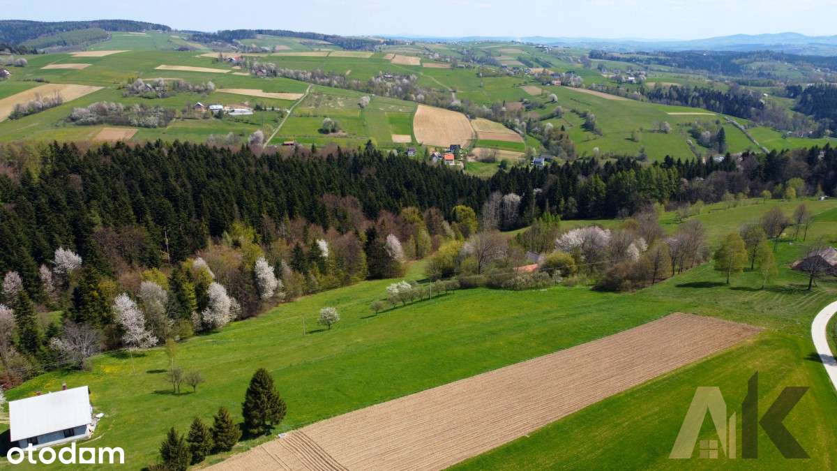 Gospodarstwo z zabudowaniami - Korzenna - Pełny obrazek: 5/11