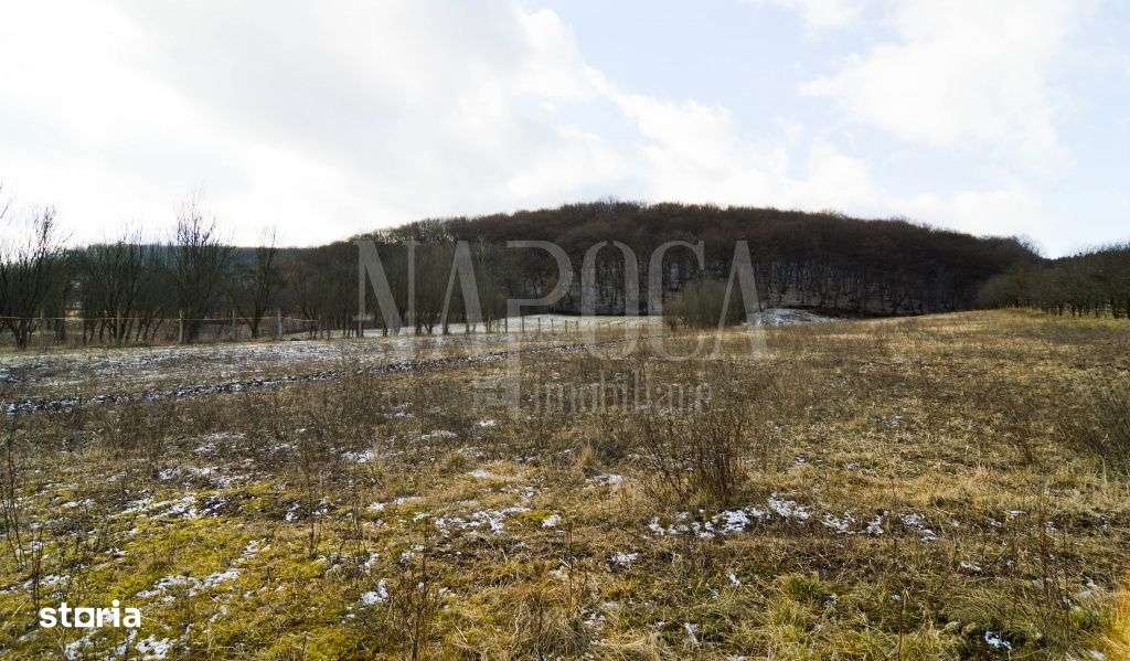 Teren extravilan pentru constructii de vanzare in Popesti - Imagine principală: 3/4