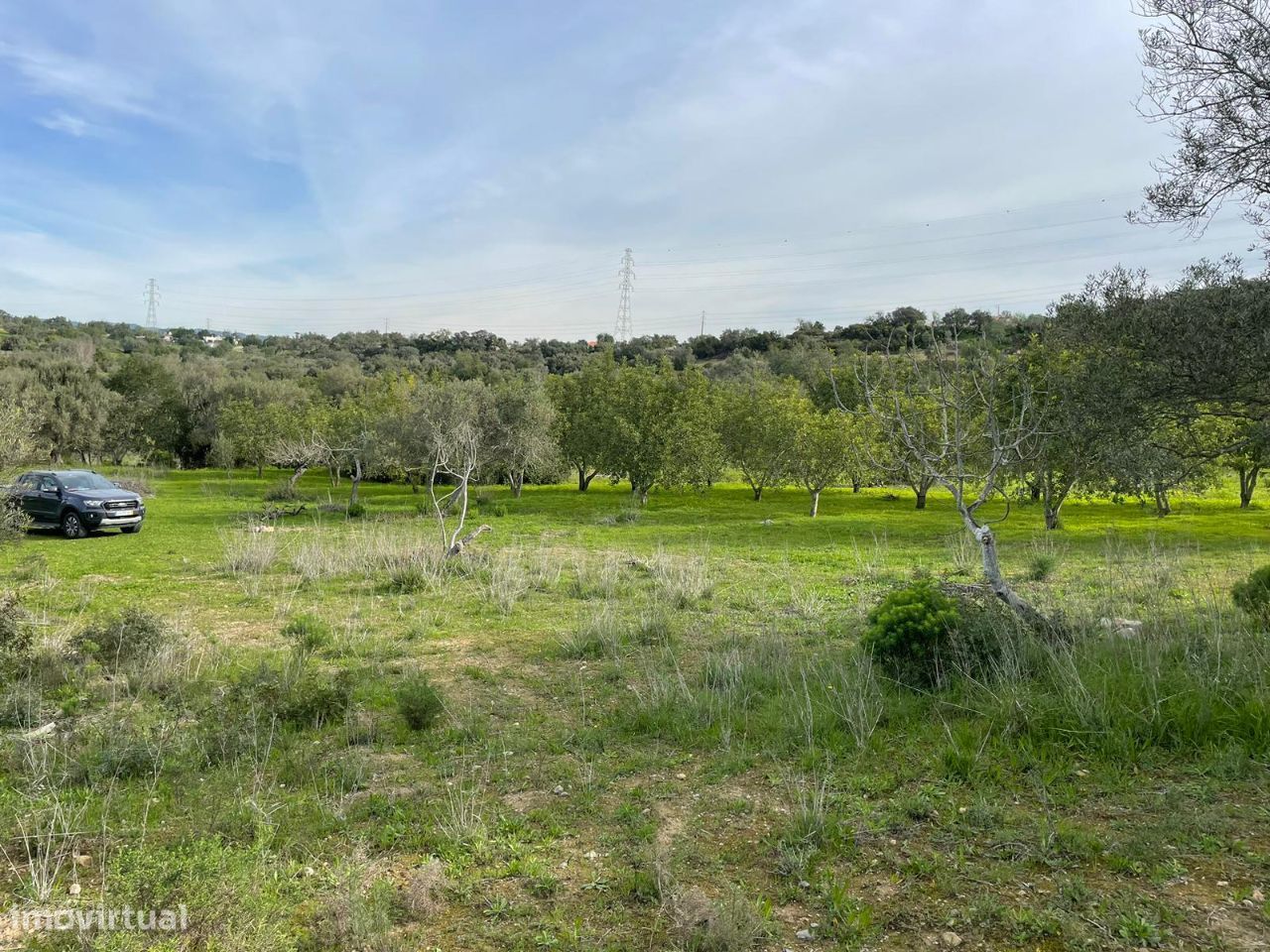 Terreno Rustico em Murta/ Estoi