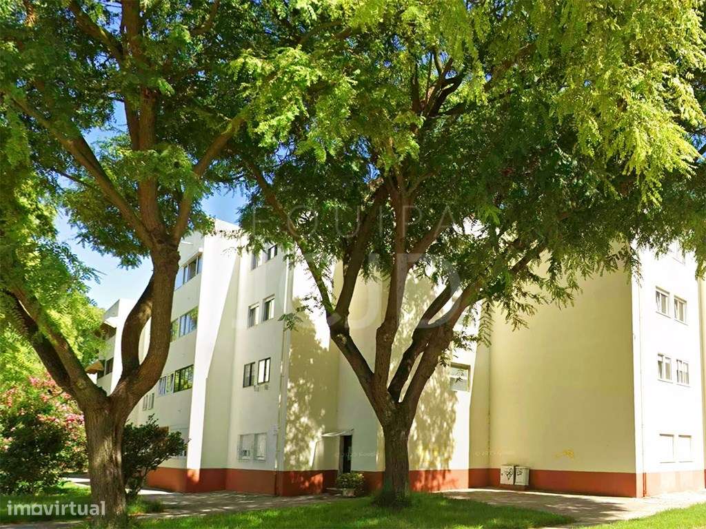 Apartamento T3 Totalmente Remodelado a Estrear - Costa da Caparica-19