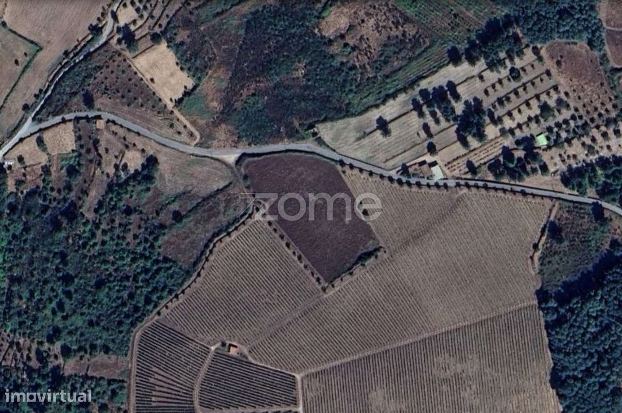 Terreno Rústico em São Paio, Gouveia – Carvalhal - Grande imagem: 3/3