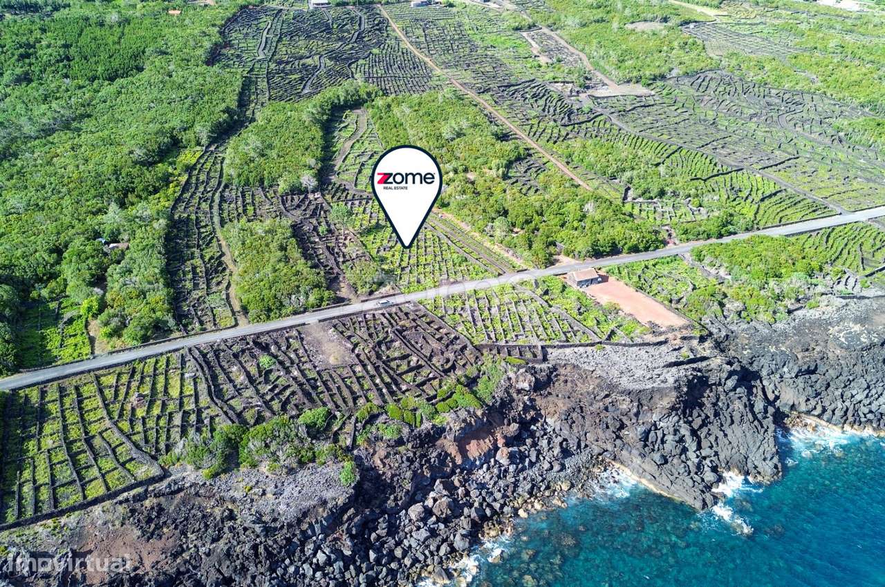 Terreno de vinhas com 2835m2, em São Caetano na Ilha do Pico - Grande imagem: 3/16
