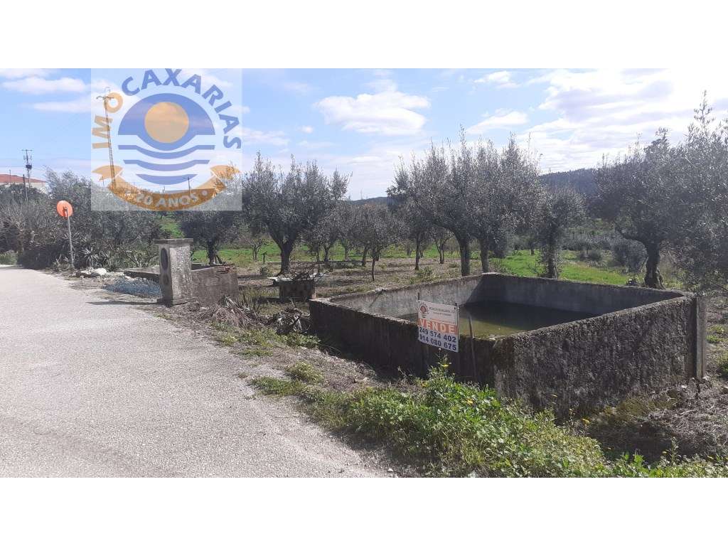 Terreno totalmente construtivel. Boa localização. - Grande imagem: 2/2