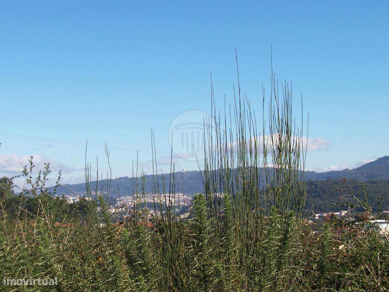 Lotes em Banda, de Gaveto e Individuais em excelente local - Grande imagem: 5/7