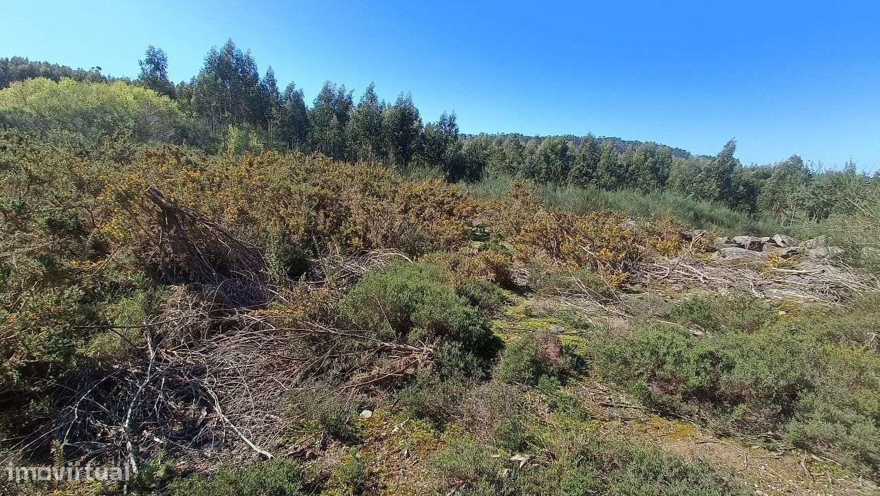 Propriedade Rústica em Santo Tirso-3