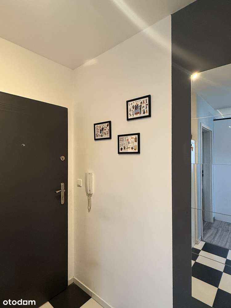 Piątkowo, mieszkanie 2 pokoje 44 m² wyposażone gotowe do zamieszkania!-9