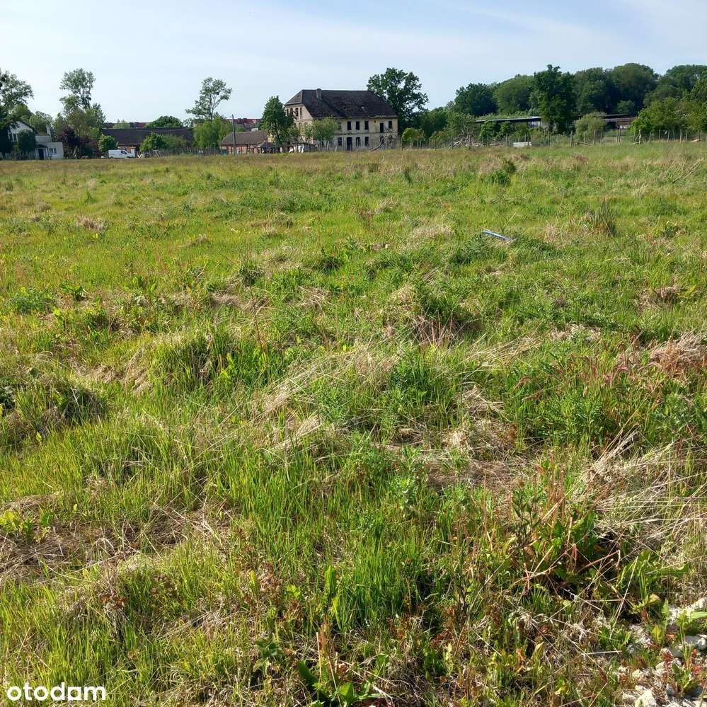 Uzbrojone działki na skraju wsi przy rzece i lesie - Pełny obrazek: 4/16