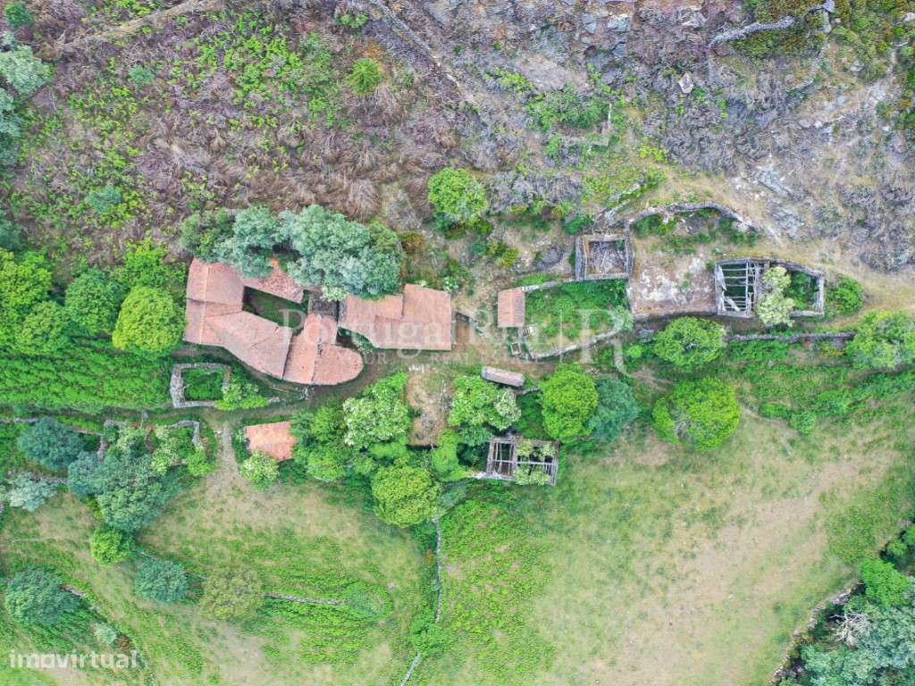 Aldeia Transmontana composta por 22 casas com 63 hectares - Grande imagem: 4/60
