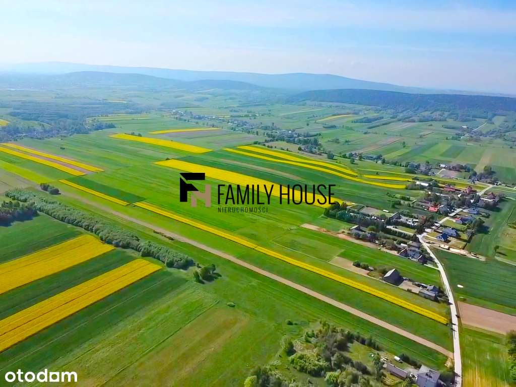 Działka 1,07ha Wzdół gm. Bodzentyn, wydane WZ - Pełny obrazek: 4/18