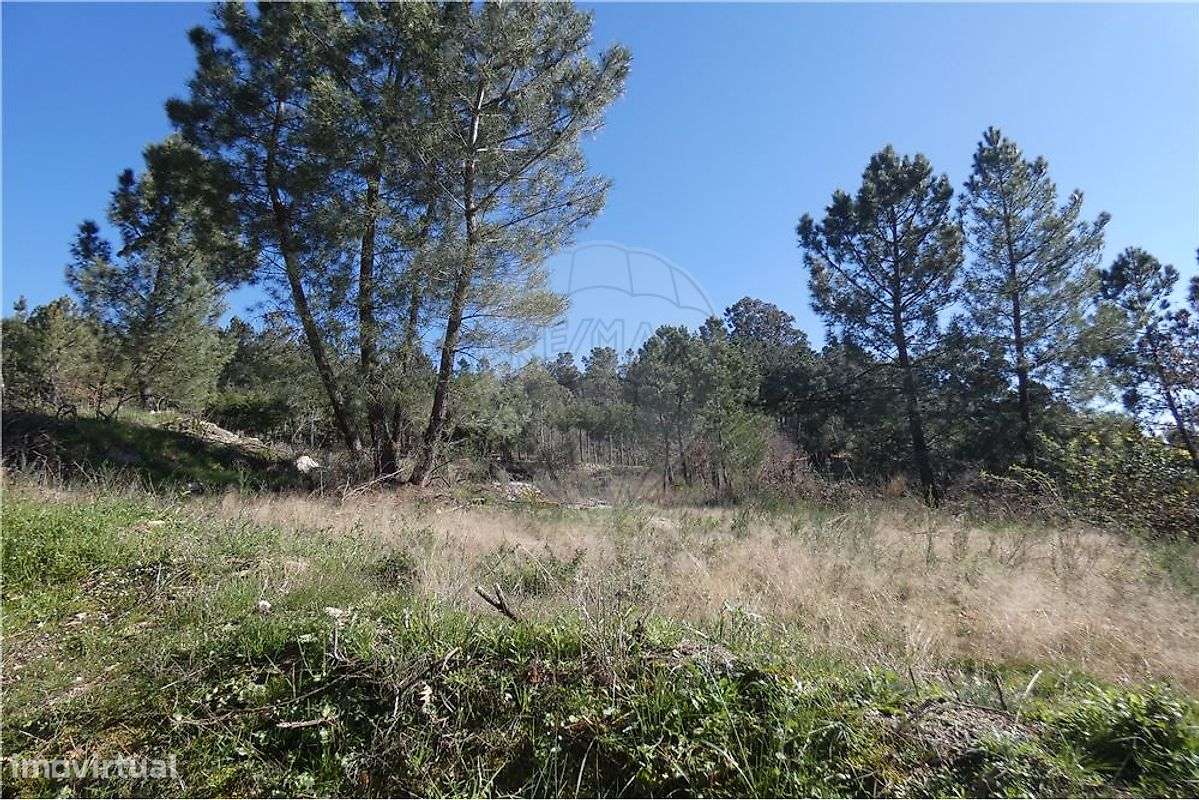 Terreno - Rossas - Ferreirim - Grande imagem: 5/7