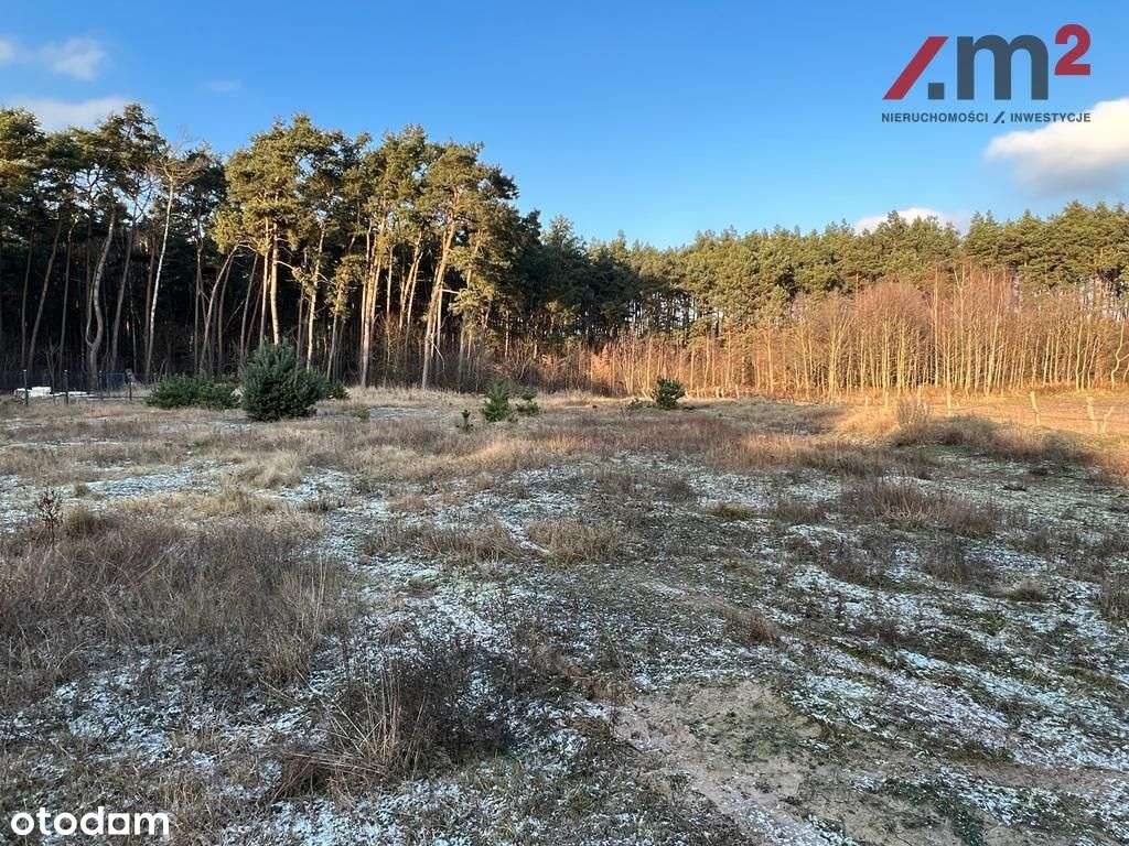 Atrakcyjna działka w Silnie przy lesie - Pełny obrazek: 4/4