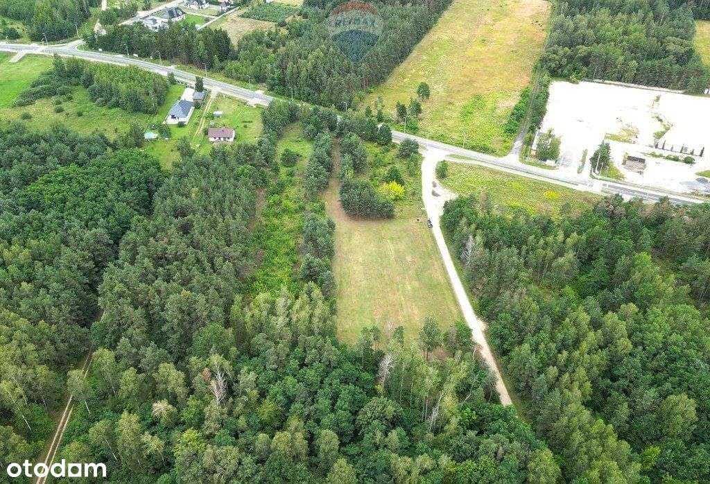 Działka budowlana 3000m2, Czekaj gm. Mszczonów - Pełny obrazek: 4/6