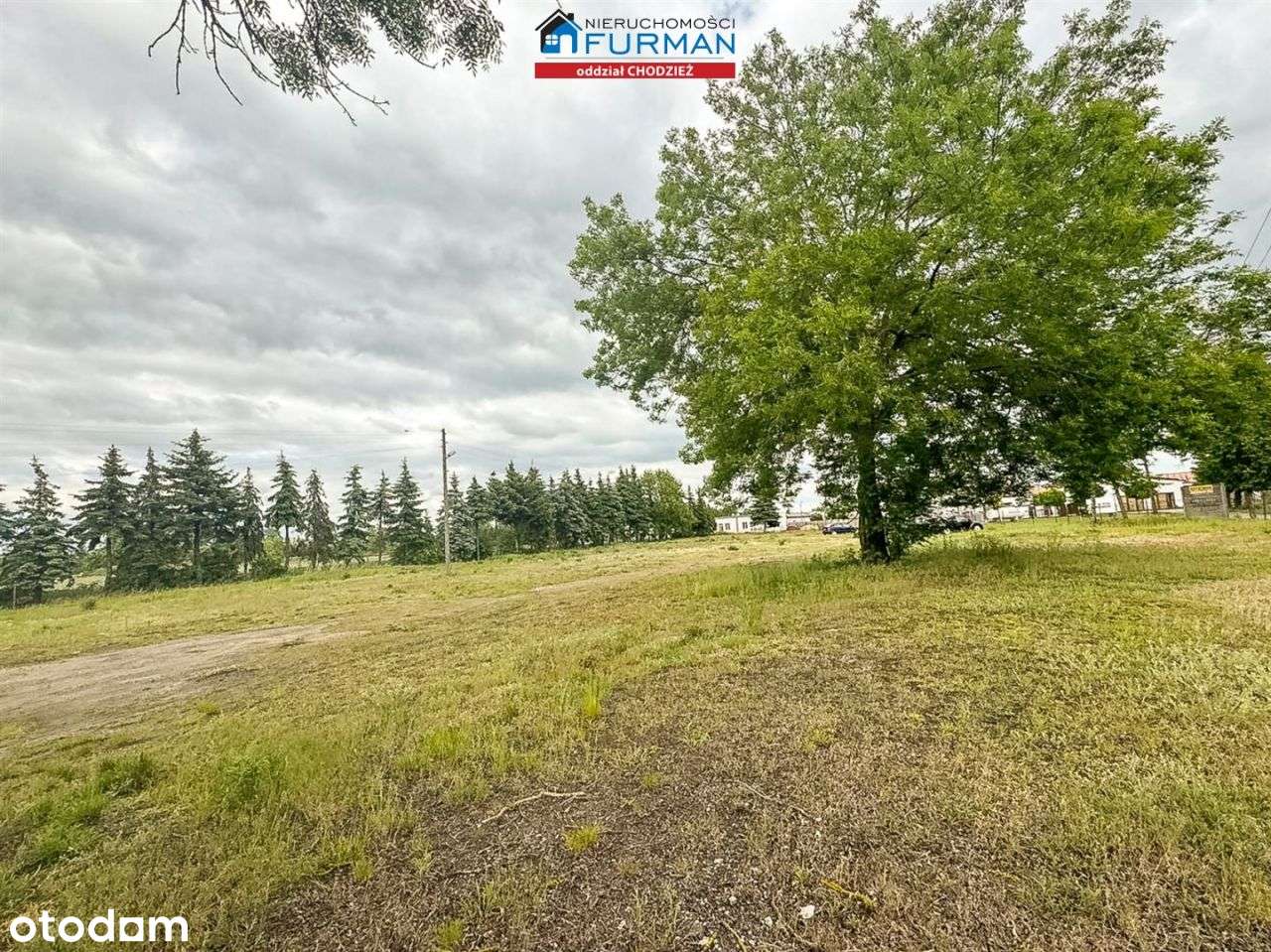 Na Sprzedaż Działka Budowlana Dla Budownictwa Mesz - Pełny obrazek: 2/9