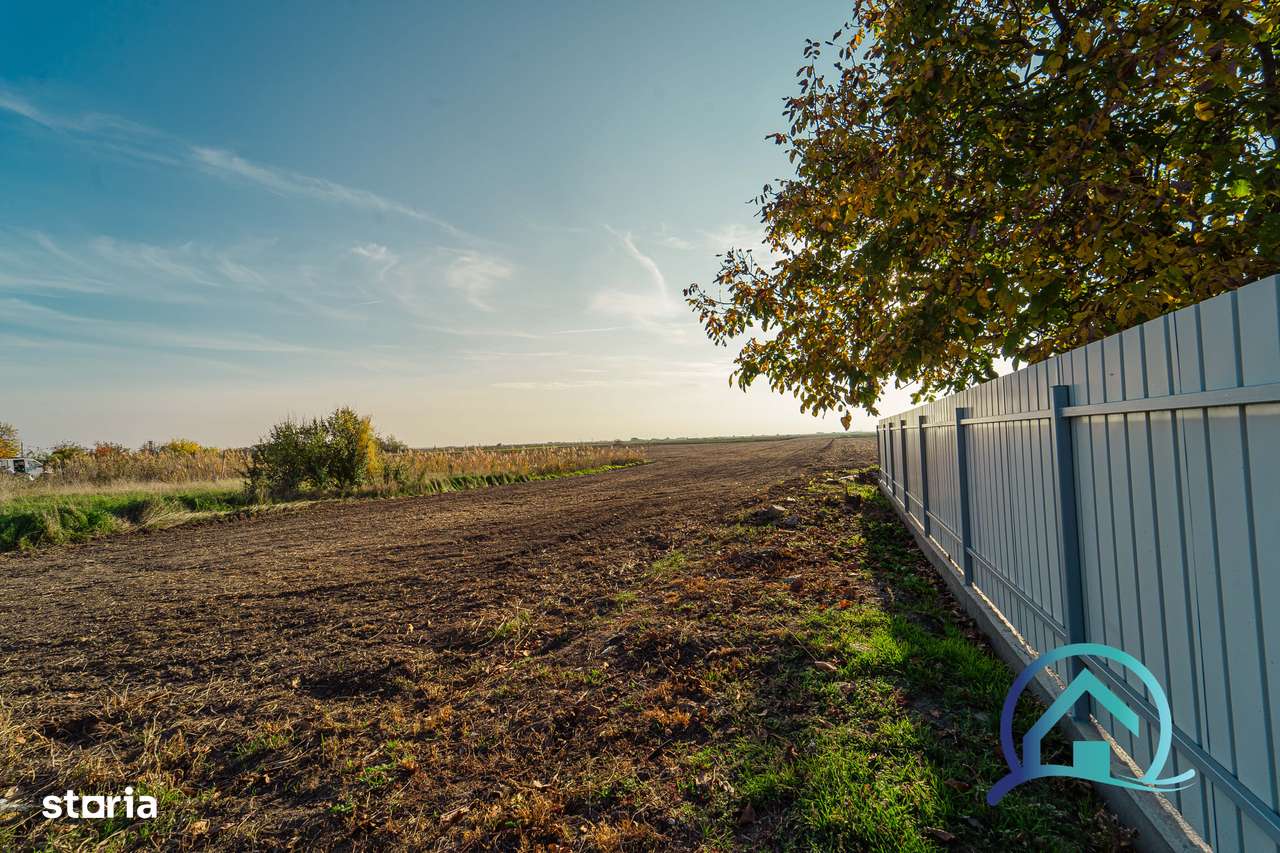 Teren 8 000 mp Arad Variasu Mare 47 000 euro negociabil-3