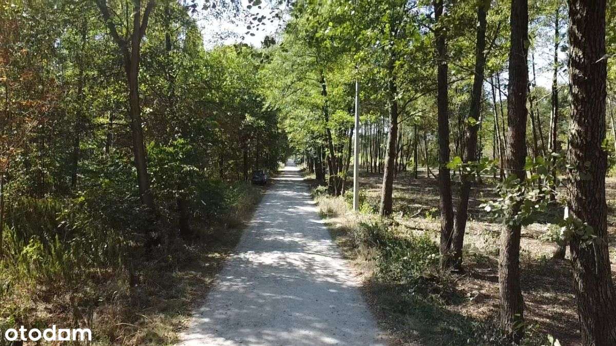 Działki budowlane w otoczeniu drzew - Pełny obrazek: 4/12