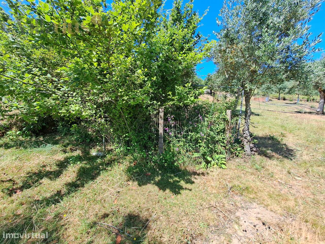 Terreno Urbano com Vista e Acesso Rápido a Tomar | Villarius Imobiliár-6