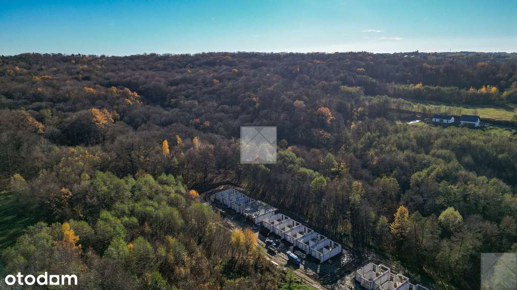 Przedsprzedaż - las św. Marcina | dla rodziny-6