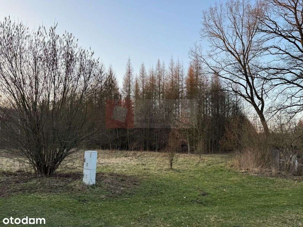Błotny Młyn 903 m2 działka przy lesie na sprzedaż!-4
