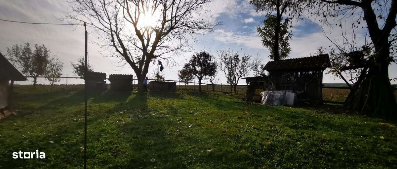 Teren intravilan 1800mp | Casa 2 camere-5