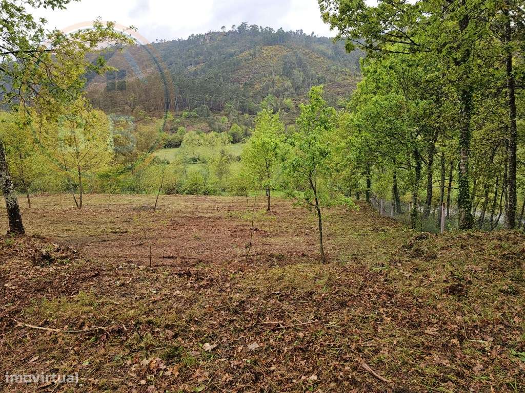 Quintinha próxima a área de lazer e rio de Sta Senhorinha (Basto), ...-25