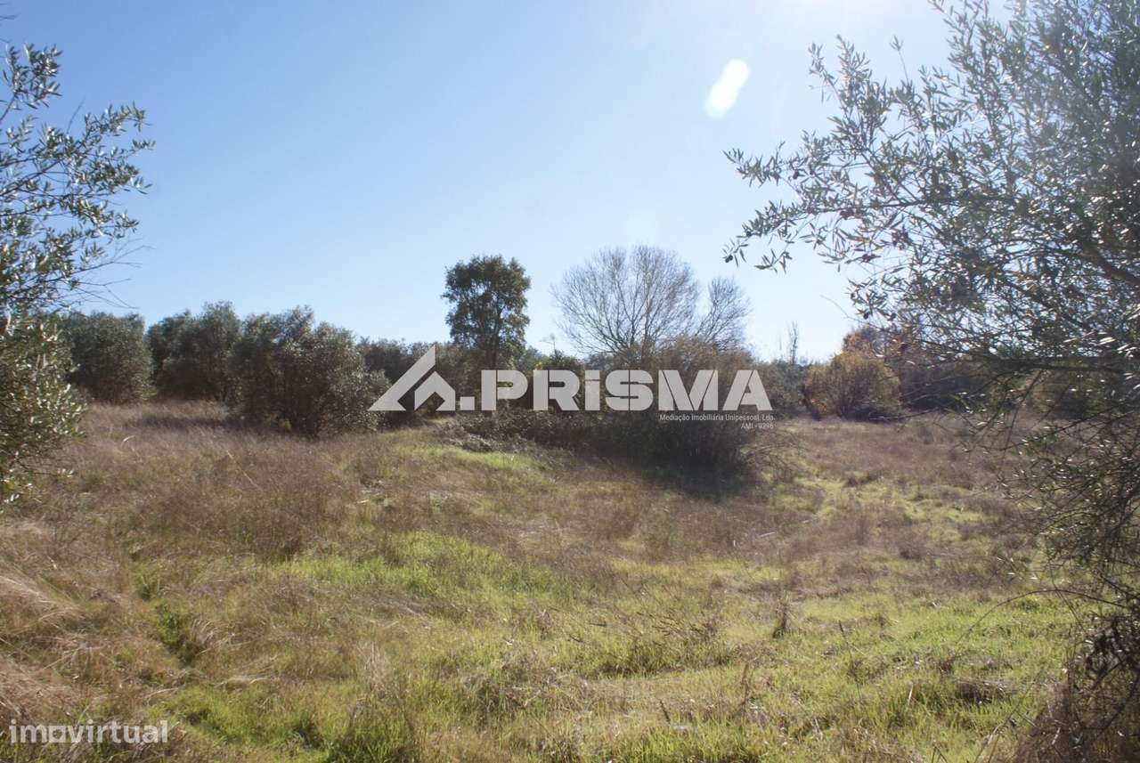 Oportunidade Única às Portas de Castelo Branco!-30
