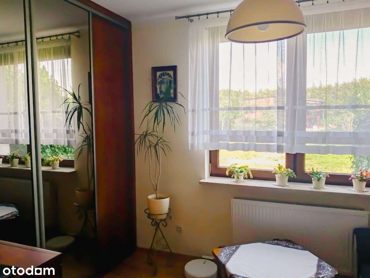 Suchy Las -Zielątkowo - ZMIANA CENY-9