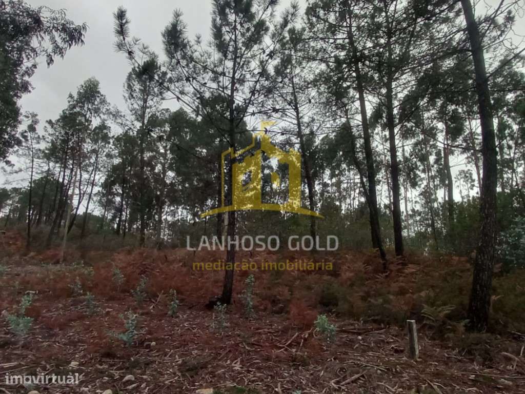 Terreno Florestal em Cunha, Paredes de Coura - 3.150 m²-8