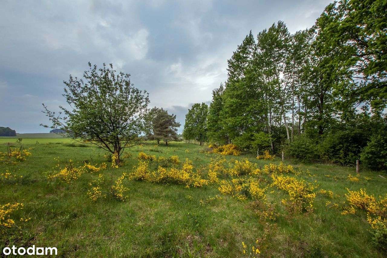 Cewlino, gm. Manowo - malownicza działka - Pełny obrazek: 5/7