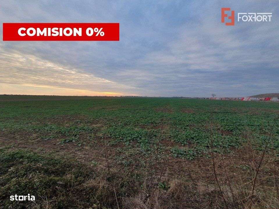 COMISION 0% Teren extravilan agricol 10.000 mp la sosea in Sag - Imagine principală: 3/6