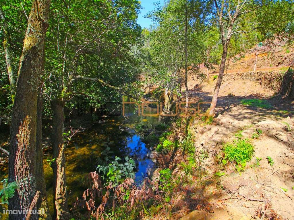Quinta Isolada com Margem de Rio e Potencial de Eco-Retiro - Arouca-46