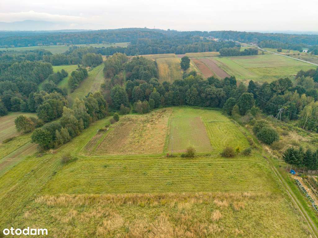 działka budowlana Jaszczew k. Krosna - 22,95 ar - Pełny obrazek: 4/6