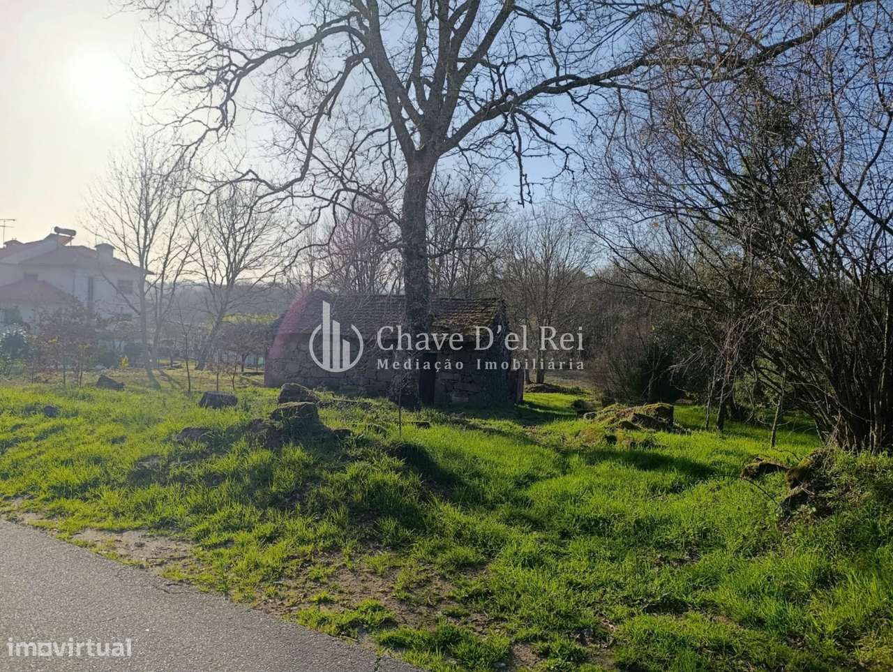 Terreno  Venda em Couto de Baixo e Couto de Cima,Viseu-14