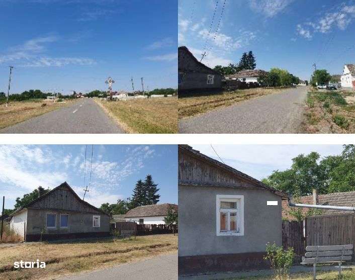 Cota de 1/2 din casa si teren Loc. Beba Veche jud. Timis,-3