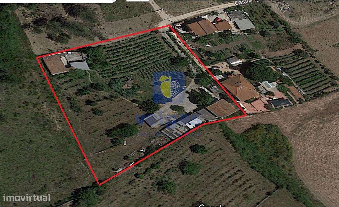 Quinta T2 São João dos Montes - Grande imagem: 4/37