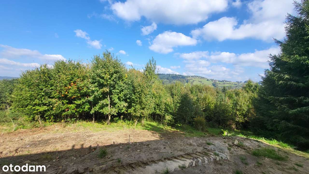 Dom, 150 m, Koniaków - DUŻA DZIAŁKA! - Pełny obrazek: 4/20