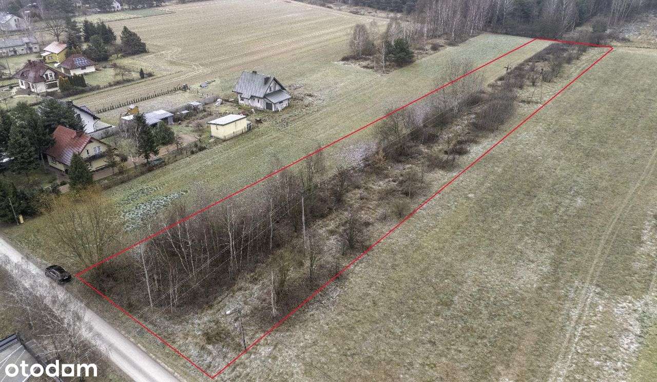 Brzóze, działka 6423m2-5