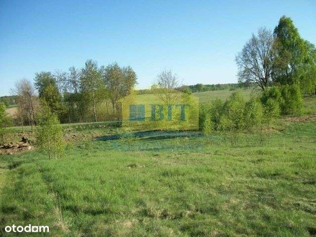 Działka 2,19 ha, przy jeziorze Drawsko-7