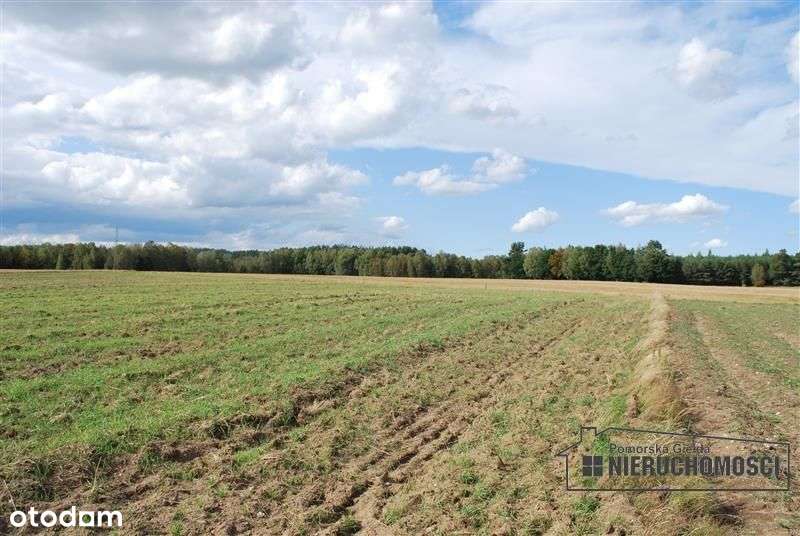 Działka budowlana w Dobrogoszczy, gm. Szczecinek - Pełny obrazek: 4/7