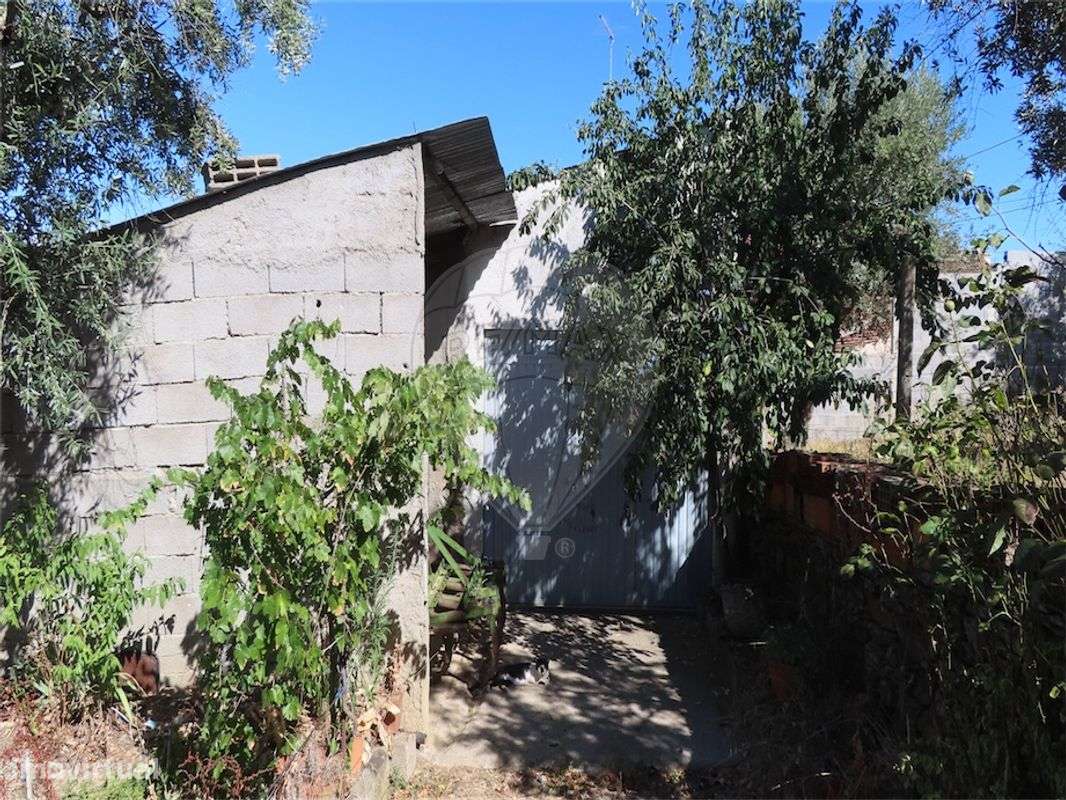 Quinta  para venda - Grande imagem: 2/25