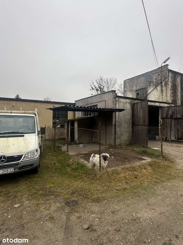 Hala produkcyjna z zapleczem biurowo socjalnym oraz utwardzonym placem - Pełny obrazek: 4/5